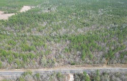 Walling Rd lot: 5, Milton, FL 32570