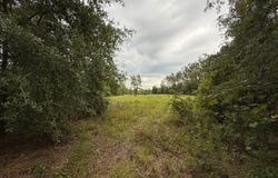 TBD 211TH COURT, Live Oak, FL 32060