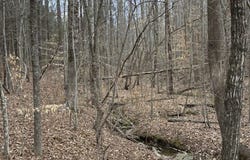 Scuffletown Road, Randolph, VA 23967