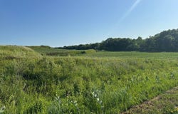 24466 Kane Ave., Glenwood, IA 51534