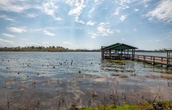 7757 Paradise drive, Donalsonville, GA 39845