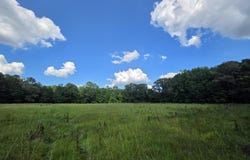 416 Summers Lane, Brookhaven, MS 39601