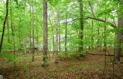 6855 Hardwood, Gainesville, GA 30506