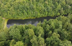 0 Falcon rd, Salyersville, KY 41465