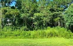 328 Terrace Avenue lot: 25, Waveland, MS 39576
