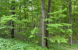 V/L Gardner Road, Galien, MI 49113