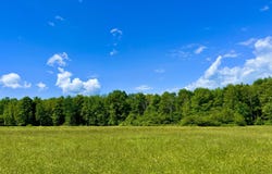 9755 State Route 171, Union Dale, PA 18470