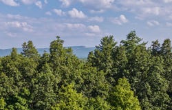Tbd Cooper Street, Stone Ridge, NY 12484