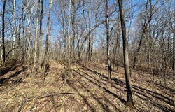 9.55+/- Acres Lot 10/11 290th Avenue, Holcombe, WI 54745