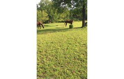 202 Orville  AVE, Poteau, OK 74953