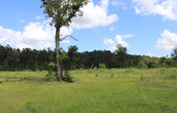 CR 1110 - Tract 4, Rusk, TX 75785
