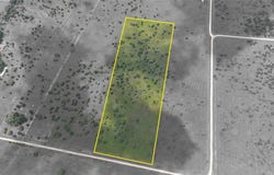Lot 2 NE Country Road 2190, Kerens, TX 75144