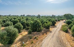 0 Sara Jane Lane, Anderson, CA 96007