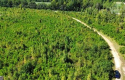 Airport Road, Dublin, GA 31021