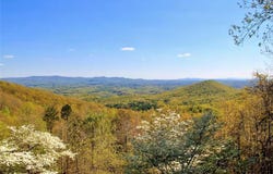 346 Walnut Ridge, Ellijay, GA 30536