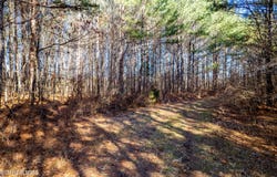 Airport Rd. Lot 8, Rockwood, TN 37854