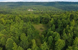 Lot #5 HIGHWAY 75, ONEONTA, AL 35121