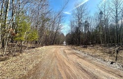 9.55+/- Acres Lot 10/11 290th Avenue, Holcombe, WI 54745