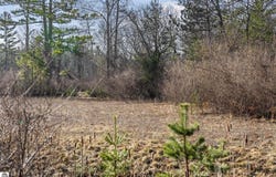 000 N Three Mile Road, Traverse City, MI 49696