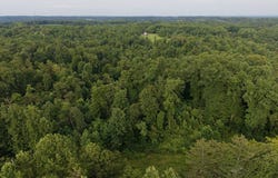 Virgil Cross Rd, Red Boiling Springs, TN 37150
