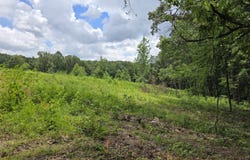 230 Wells Rd, Powell, TN 37849