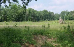 Tbd FM 1000, Mount Pleasant, TX 75455