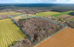 6562 Will Jones Rd, Jay, FL 32565