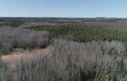 252 Acres Helen Lake Road, Republic, MI 49879