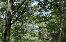 Lot 24 MT SNOW COURT, BASYE, VA 22810