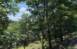 243 BLUFFS ON THE POTOMAC, ROMNEY, WV 26757