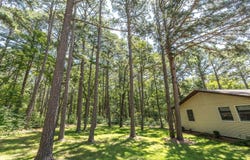 11545 Slaughter Road, Licking, MO 65542