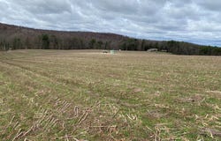 150 Lloyds Road, Cherry Tree, PA 15724