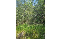 5148 Wylderidge Dr, Murphys, CA 95247