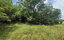 6391 HIGHWAY 13, HALEYVILLE, AL 35565