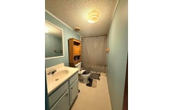 115 FLIPPO St, Brilliant, AL 35548