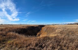 750 E Division Road, Fort Shaw, MT 59443