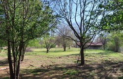204 Browning, Hooks, TX 75561