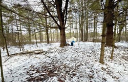547 Glenford-wittenberg Road, Bearsville, NY 12409