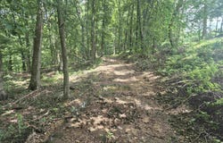 18195 N Hwy 65, Saint Joe, AR 72675