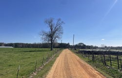 557 Bass Laird Road Tract B, Prentiss, MS 39474