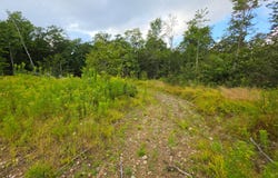 0WP Owego Hill Rd, Harford, NY 13803