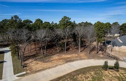Lot 12 Deer Lake Lane, Bullard, TX 75757