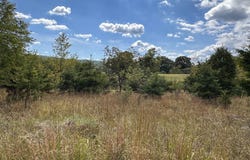 KNOBLEY ROAD, KEYSER, WV 26726