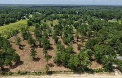Corn Griffin St, Wewahitchka, FL 32465