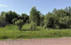 Ellis Ave, Ashland, WI 54806