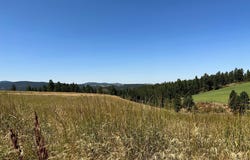 1204 Morris Road, Princeton, ID 83857