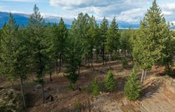 Lake Heights lot: 18, Eureka, MT 59917