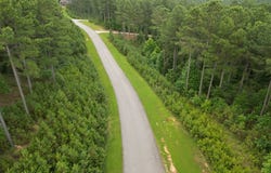 Lot 148 Stables Loop, Blairsville, GA 30512