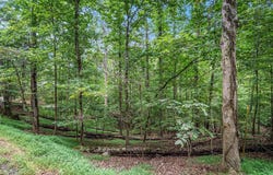 Lot 72 Huron Circle, Ellijay, GA 30540