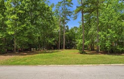 105 Oak Trace Court, Chapin, SC 29036